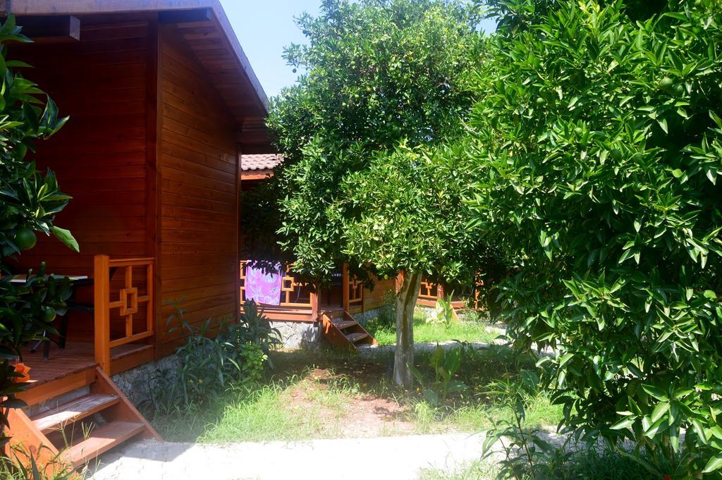 Safir Pansiyon Çıralı Zewnętrze zdjęcie